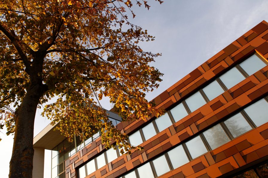 Studio Solarix Project Kuijpers helmond 3