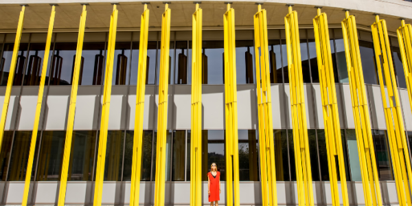 Header artikel Jacqueline Cramer Netwerksturing