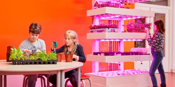 Grow Wizz Kid kweken en onderzoekend leren met innovatief binnenteeltsysteem in PO