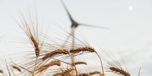 Moritz kindler gv P1rwv7s40 unsplash