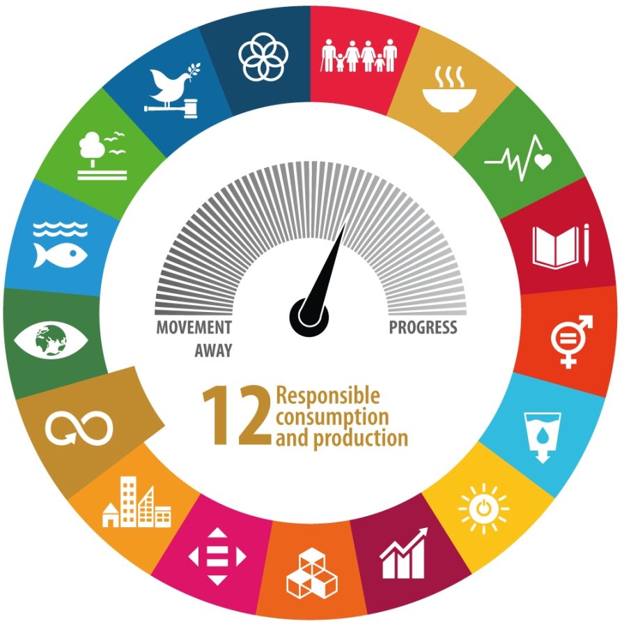 SDG12 tachometer 2020
