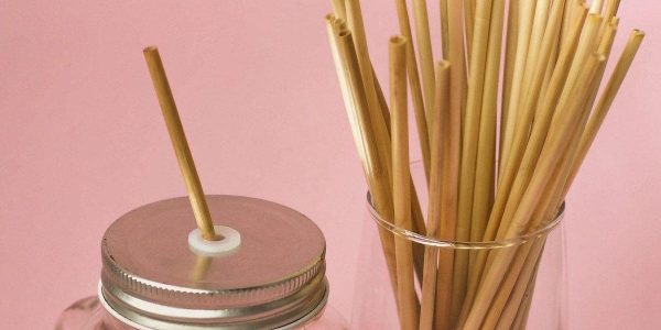 Een wereld zonder wegwerprietjes