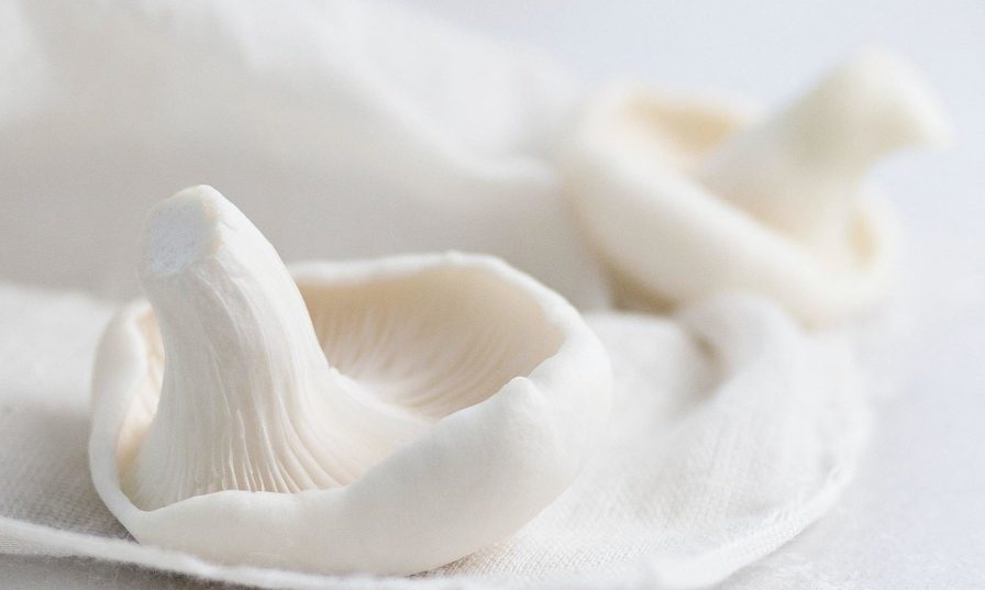 Dani rendina W8 DUQHBY5w unsplash