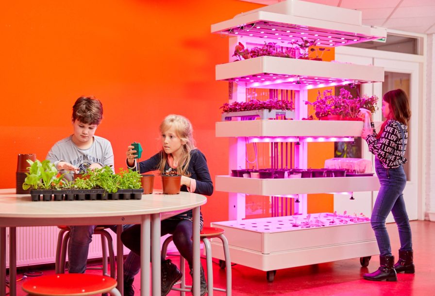 Grow Wizz Kid kweken en onderzoekend leren met innovatief binnenteeltsysteem in PO