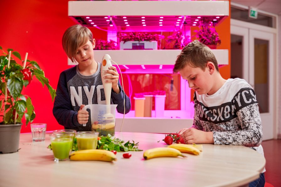 Grow Wizz Kid smoothie maken innovatieve voedseleducatie in PO