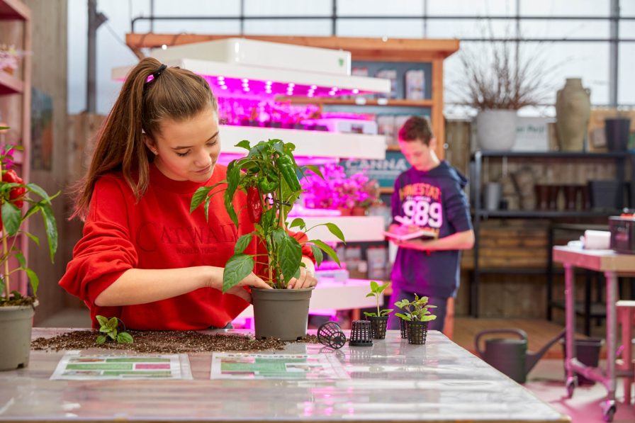 Grow Wizz Kid Kweken en onderzoekend leren met innovatief binnenteeltsysteem in VO