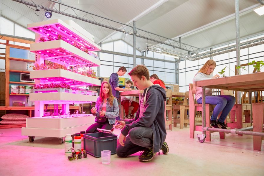 Grow Wizz Kid verschillende teeltmanieren zoals waterteelt