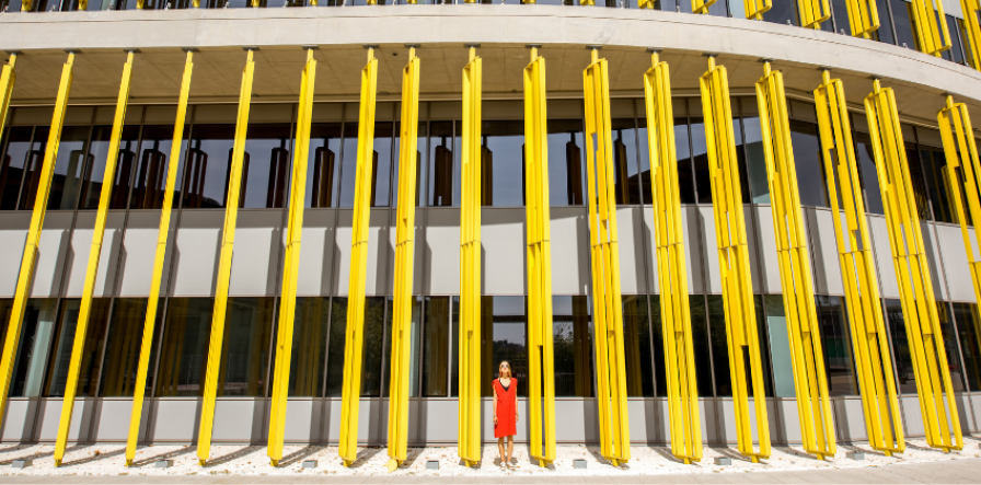 Header artikel Jacqueline Cramer Netwerksturing