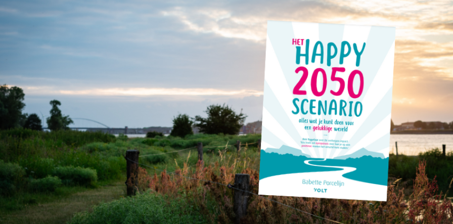 Header publicatie Babette Porcelijn