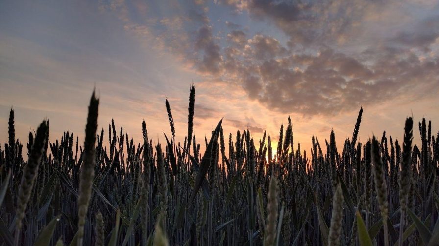 Als verandering je drive is kijk je anders naar de wereld2