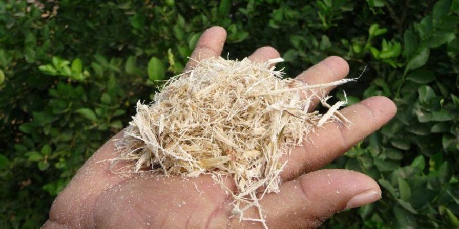 Als verandering je drive is kijk je anders naar de wereld4