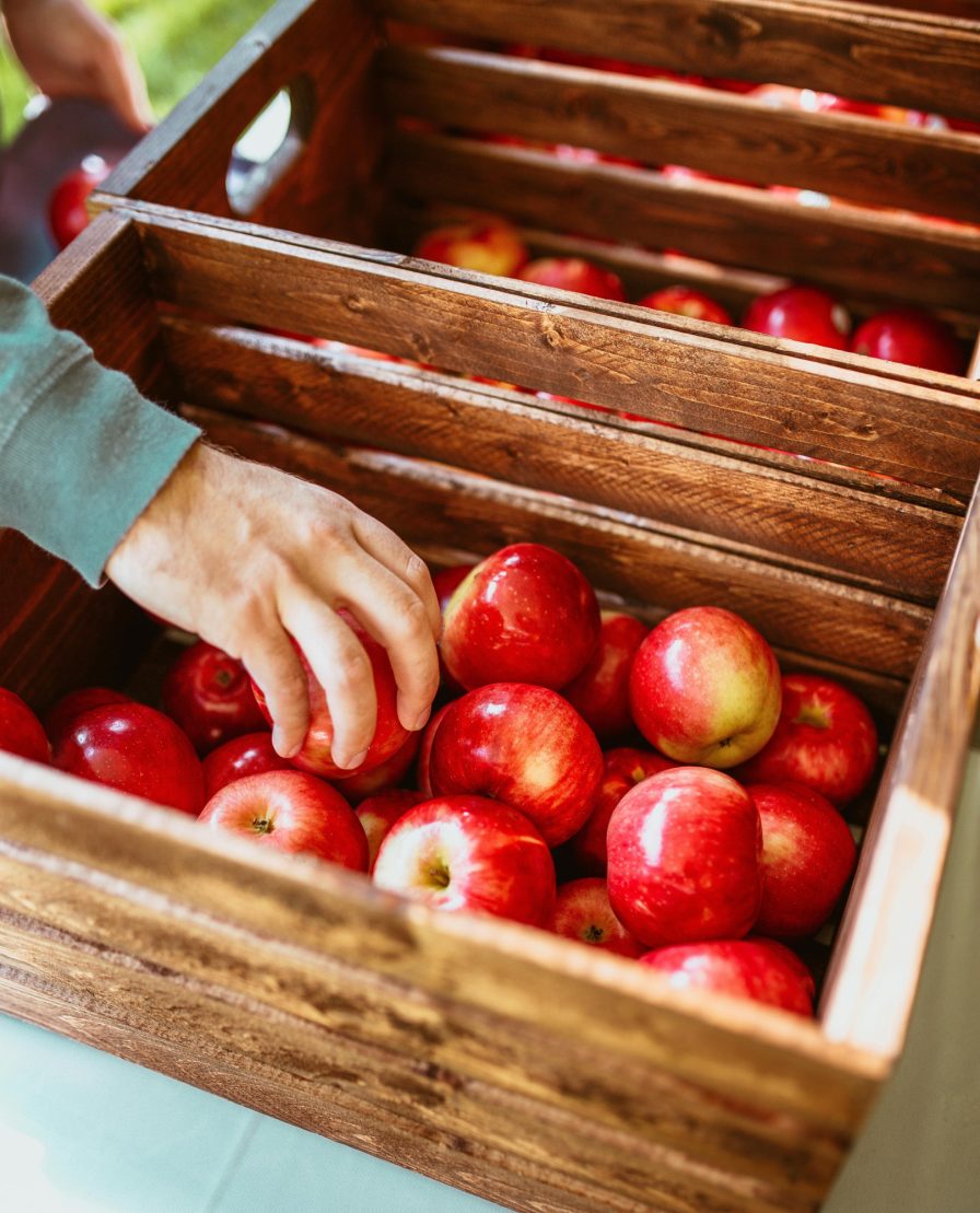 Appelkist