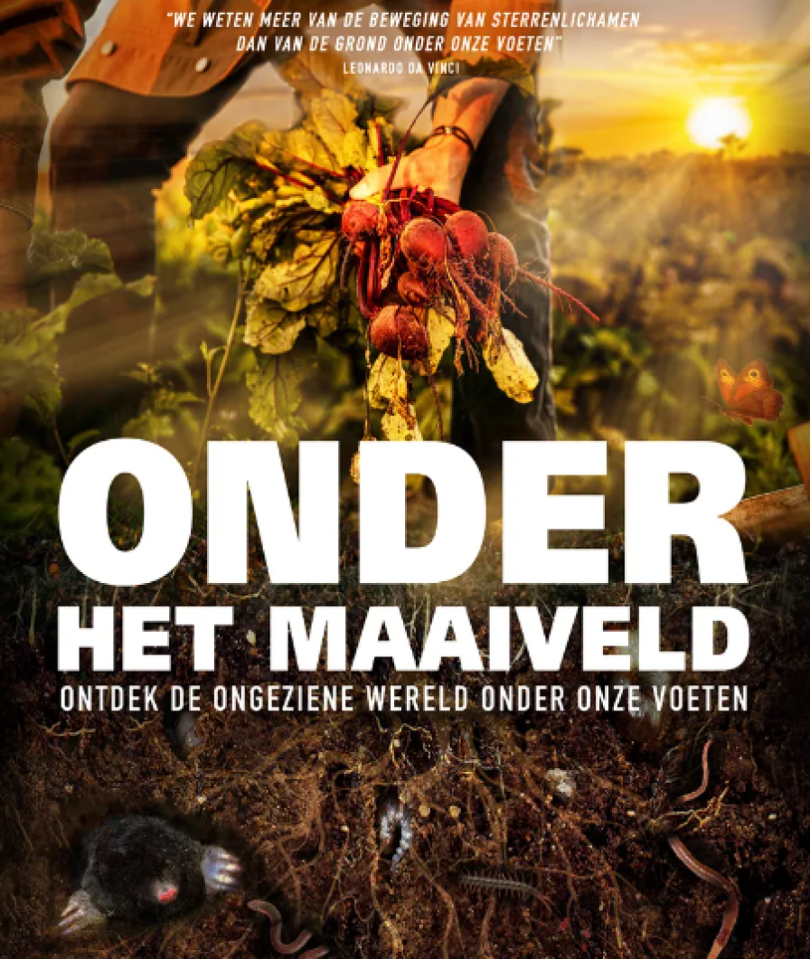 Onder het maaiveld