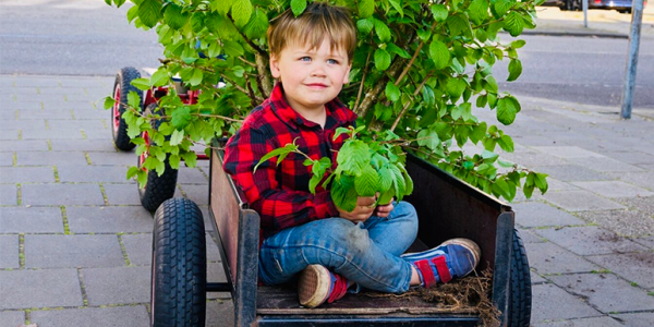 Duurzaamheid nl Struikroven