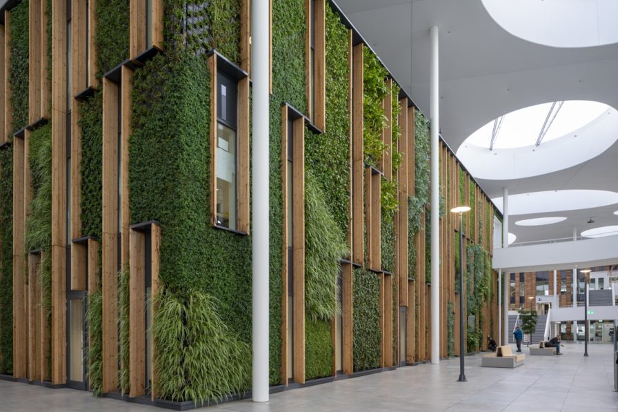 Een groene wand voor klimaatbeheersing bij Alliander in Duiven